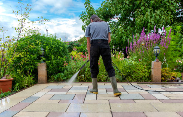 Animal Enclosure Cleaning in Oakville, MO